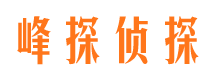 两当侦探公司